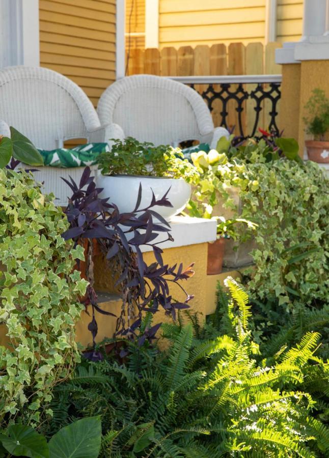 Auld Sweet Olive Bed And Breakfast Νέα Ορλεάνη Εξωτερικό φωτογραφία