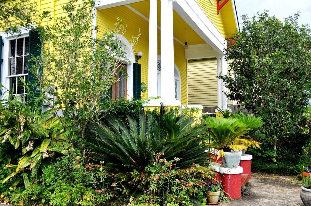 Auld Sweet Olive Bed And Breakfast Νέα Ορλεάνη Εξωτερικό φωτογραφία